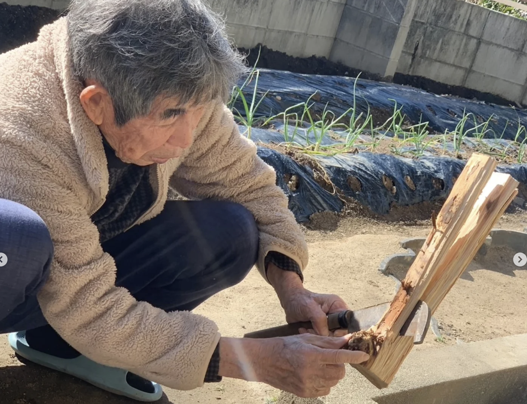 スクリーンショット 2026-02-13 13.11.43